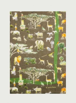 Discount Foulard Katy Foulards