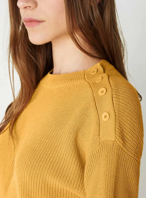 New Pull Daisy Femme Maille